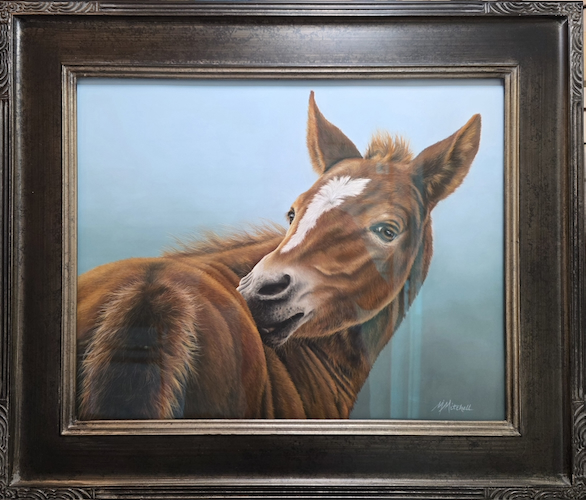 Click to view detail for That's The Spot, Itchy Foal 16x20 $1900
